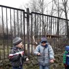 День матери. Зооботанический сад. Казань107445