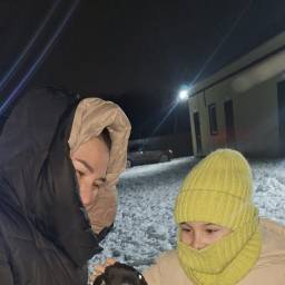 Приют для собак