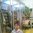 IMG-50950ce624a16985037e50dd6eeef632-V