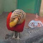 DSCN5026.JPG