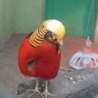 DSCN5028.JPG