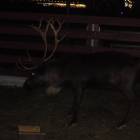 DSCN6741.JPG