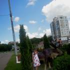DSCN0928.JPG