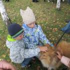 IMG_2326.JPG