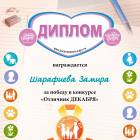 Шарафиева Замира 8