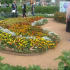 IMG_3747.JPG