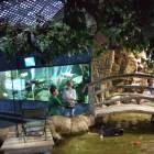 IMG_20171112_192336_HHT