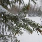 DSCN5260.JPG