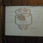 DSCN4274.JPG