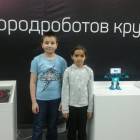 городроботов172677