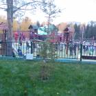 Каскад. Зона отдыха в Альметьевске.81699