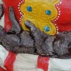 DSCN0470.JPG