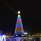 Мои новогодние каникулы133984