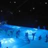 DSC04488.JPG