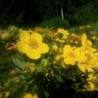 DSCN1646.JPG
