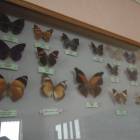 DSCN0434.JPG