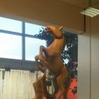 DSCN6846.JPG