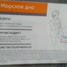 Экспериментариум г. Москва 124