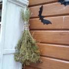 Хэллоуин в панораме.84664