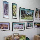 IMG_20181201_112135