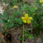 DSCN0586.JPG