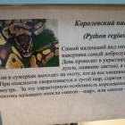 Выставка зоопарк "Живые тропики"60566