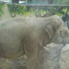 DSCN0144.JPG