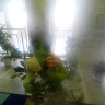 DSCN2271.JPG