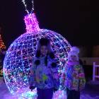 Мои новогодние каникулы133954