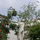 20190731_125535