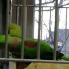 IMG-20181031-WA0009