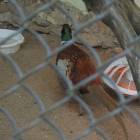 DSCN5016.JPG