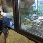 IMG_20171112_192138