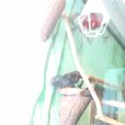 IMG_20160828_083836