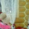 IMG_20161226_154815