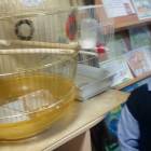 IMG_20171207_150315