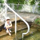 DSCN0081.JPG