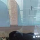 IMG_20160828_083527