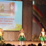 Пестречинская звездочка24363