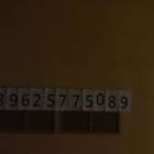 DSC08670.JPG
