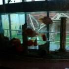IMG_20160828_083557