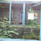 DSC05923.JPG