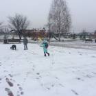IMG-20171126-WA0016