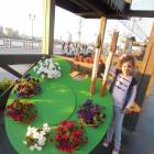 DSCN0709.JPG