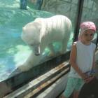 DSCN0265.JPG