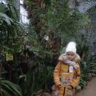 DSCN4806.JPG