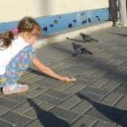 DSCN4607.JPG