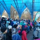 дружно на зеленый фитнес90254