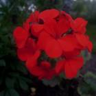 DSCN0202.JPG