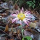 DSCN5043.JPG